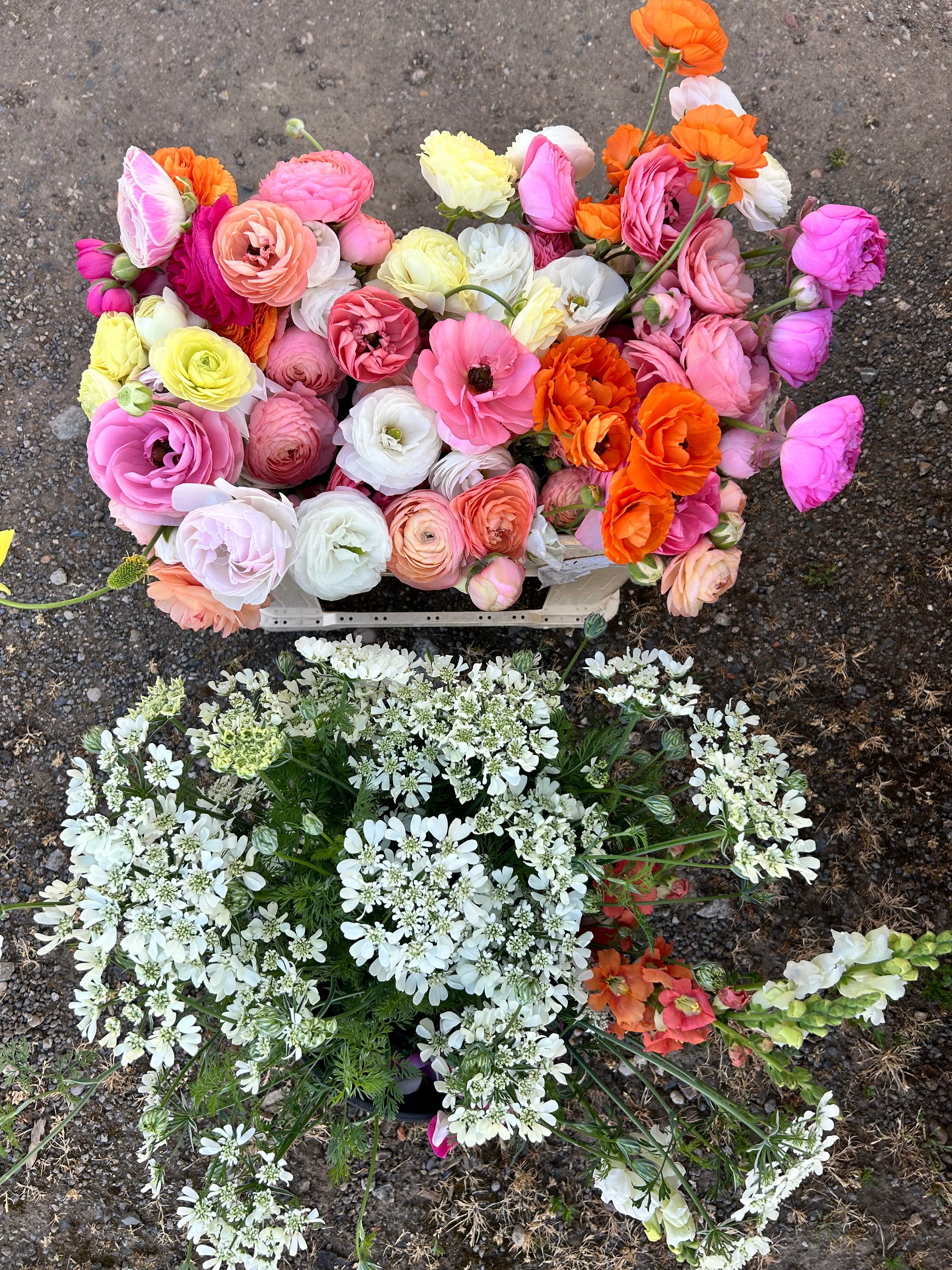Seasonal flower buckets