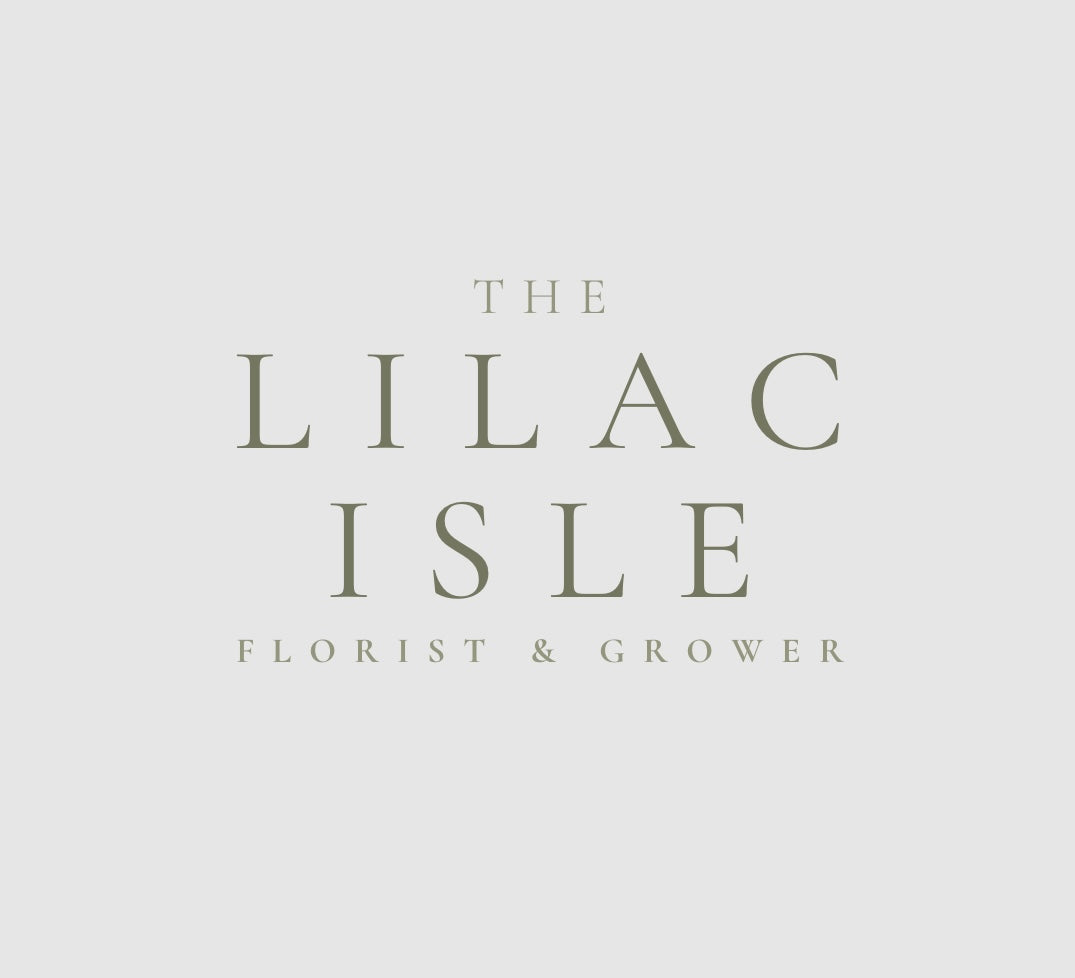 The Lilac Isle