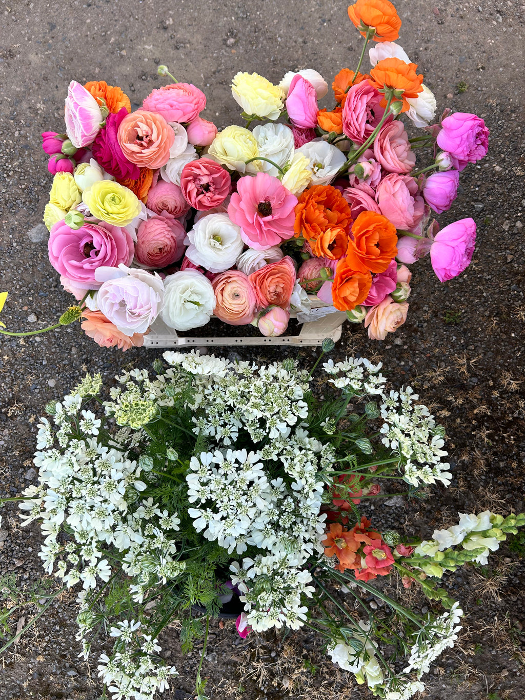 Mixed Flower Buckets