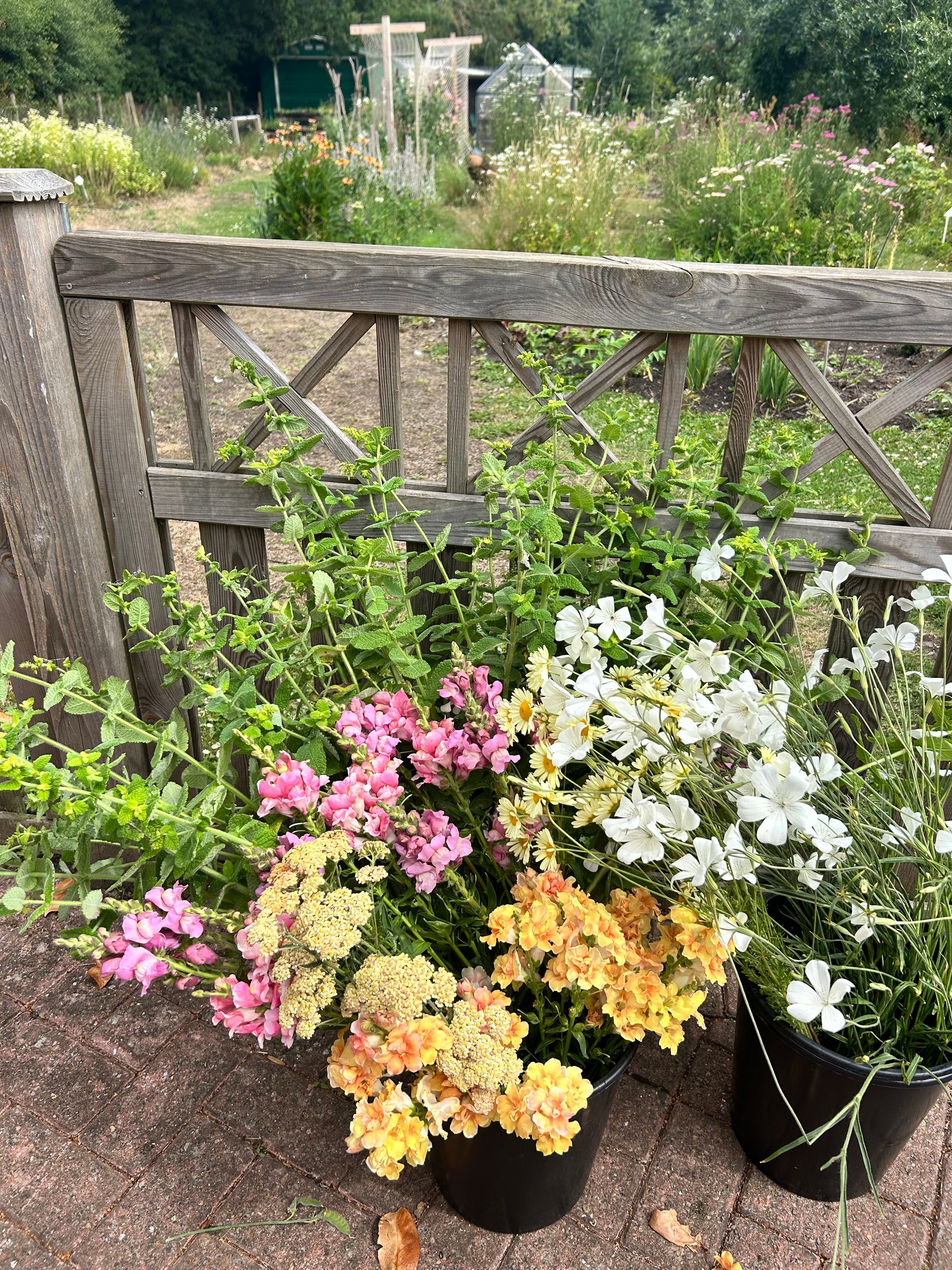 Pick your own flowers