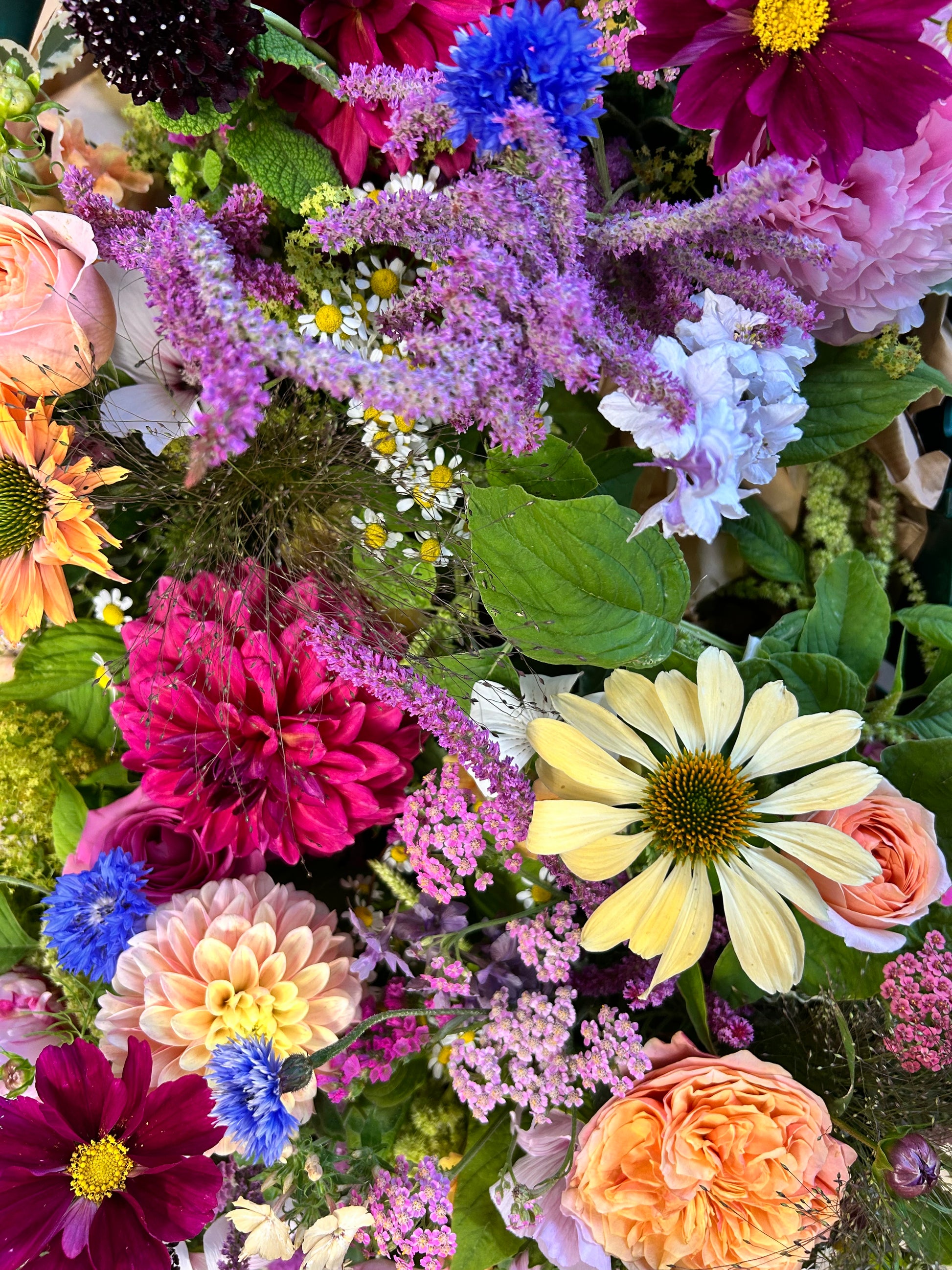 Pick your own flowers