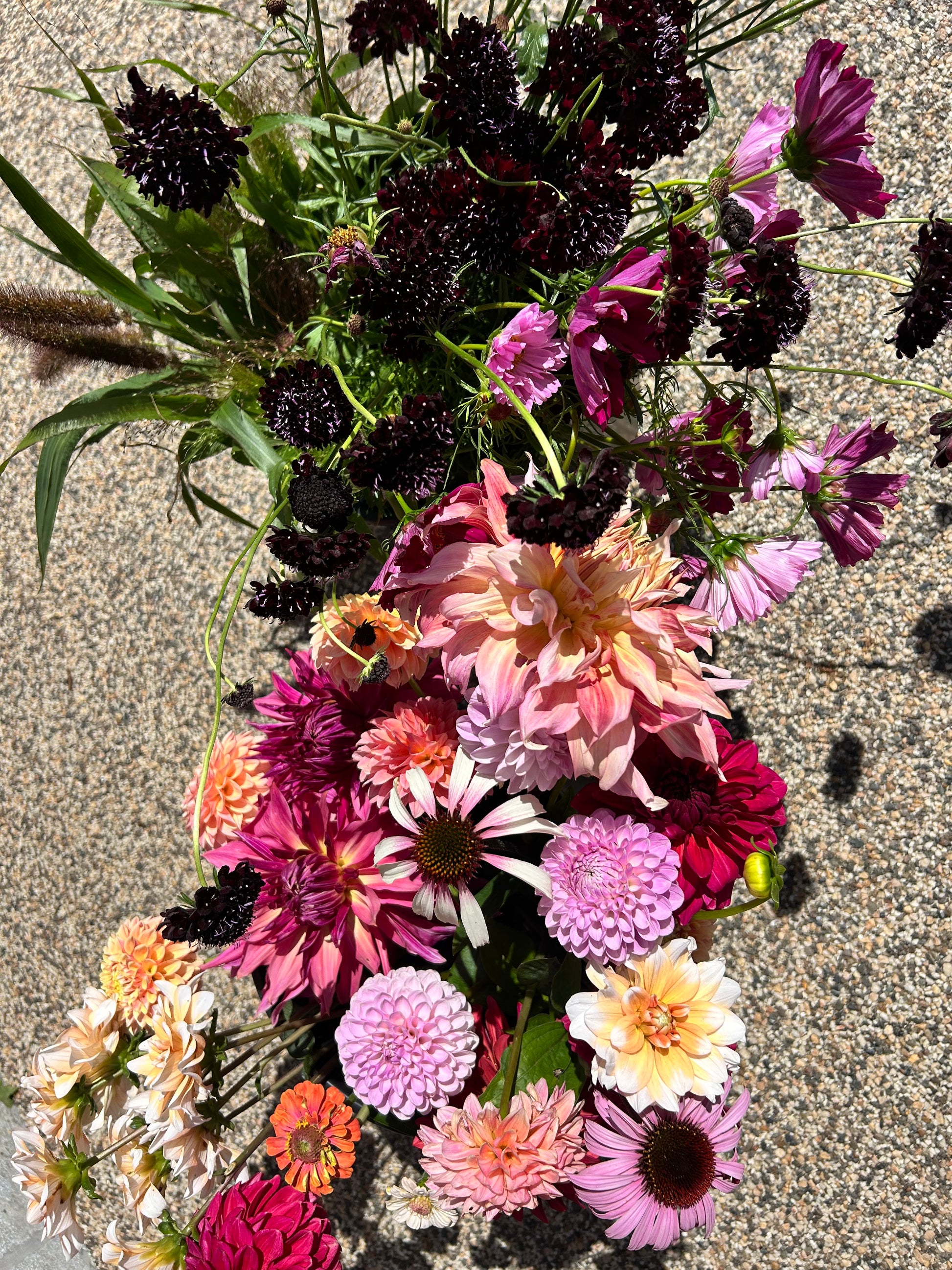 Pick your own flowers