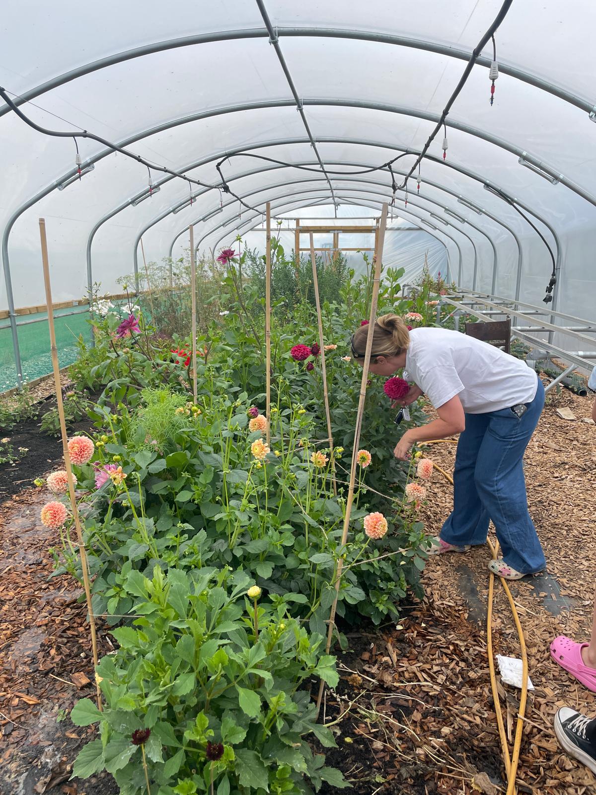Pick your own flowers