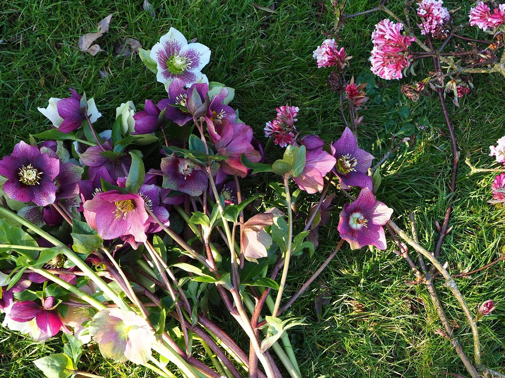 Mixed Flower Buckets